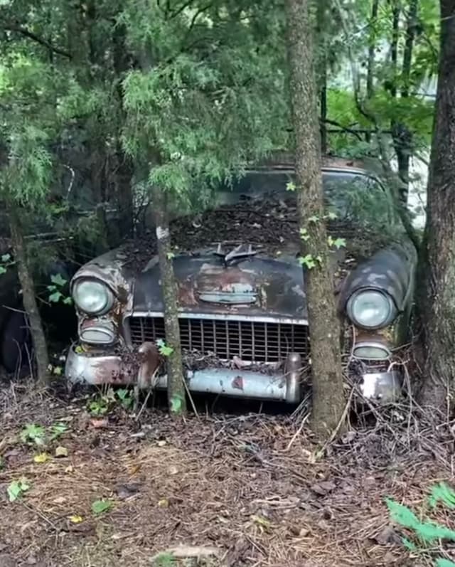 Old truck we bought for cash